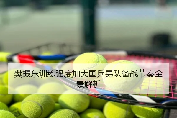 樊振东训练强度加大国乒男队备战节奏全景解析